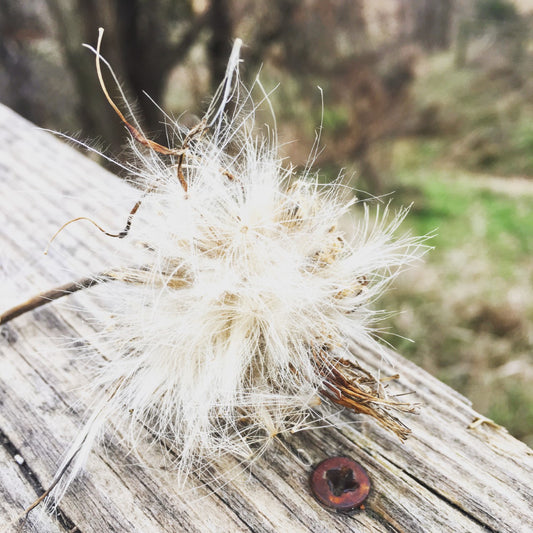 beauty in the outdoors bike trail